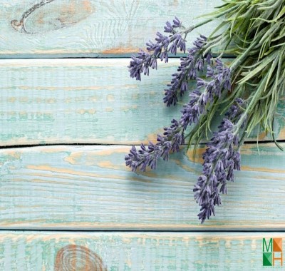 Tranh dán tường Hàn Quốc hoa lavender FW -153